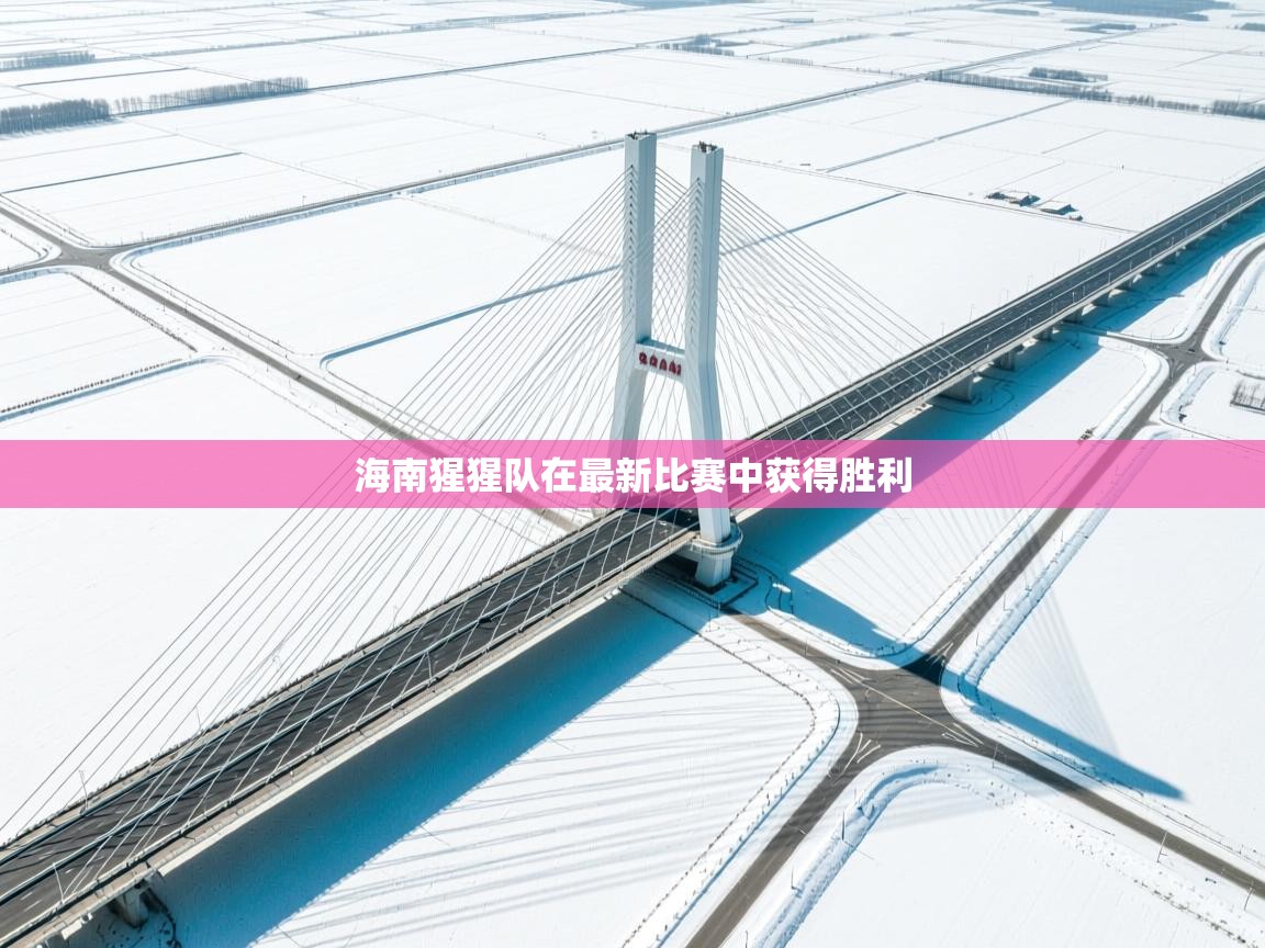 海南猩猩队在最新比赛中获得胜利